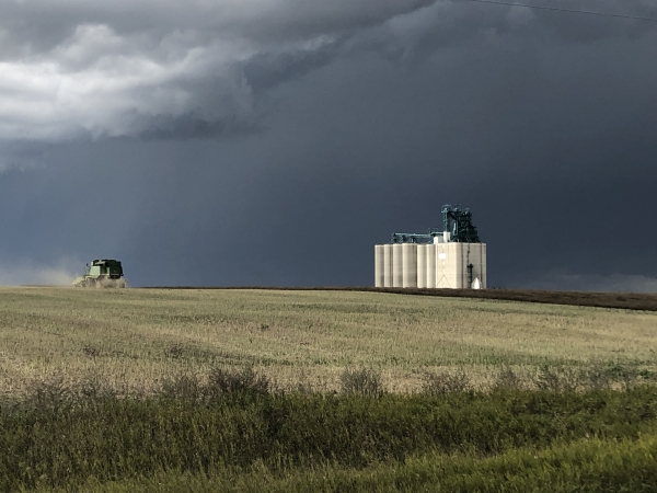 Rains continue to plague harvest