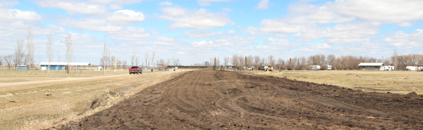 To allow for street expansion, trees were removed west of the Boissevain Fairgrounds. 