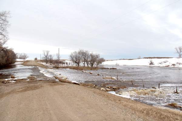 Overland runoff southwest of Boissevain on Wednesday, April 12.
