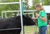 Kaydee Johnson of the Boissevain Beef Club gives her steer ‘Moose’ a haircut before the Beef Clinic at Rally Day.