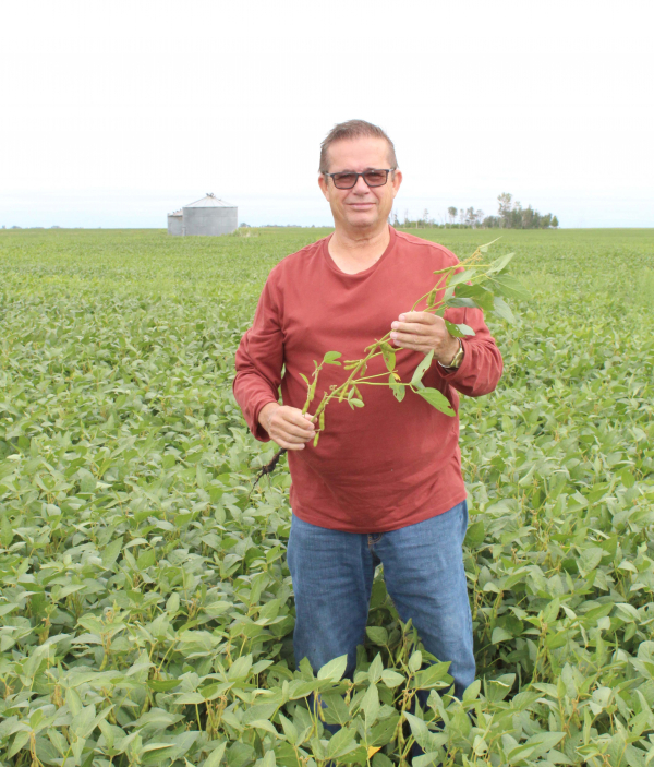 Fifth fundraiser harvest benefits Deloraine organizations
