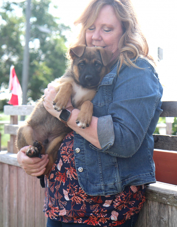 Looking for a forever home
